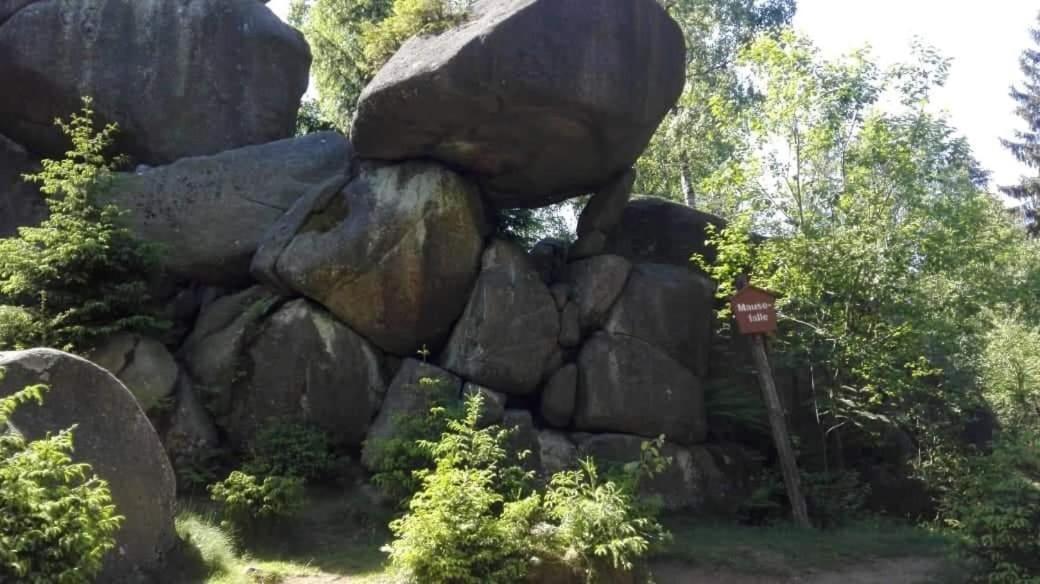 Kuschelnest *